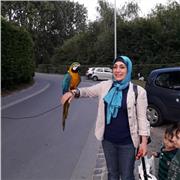 Vous êtes en secondaire inférieur et vous avez d'un professeur qui vous accompagne durant l'année et vous aide à faire les devoirs et comprendre les leçons et passer vos examens en réussite. Je suis là pour vous aider.